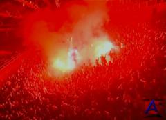 Amatory - Live Evil