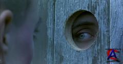  / Romper Stomper ()