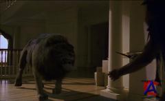  / Jumanji