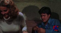   / The Evil Dead