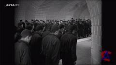  / Metropolis