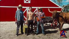  / Jackass Number Two