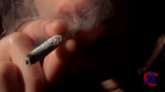 NG -   / National Geographic: Inside Marijuana (2009) SATRip