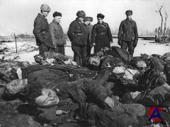   1941-1945 