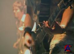 Amatory - Live Evil