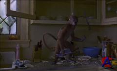  / Jumanji