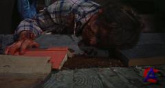   / The Evil Dead