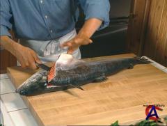     / Instructional knife skills