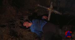   / The Evil Dead