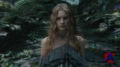     / Alice in Wonderland