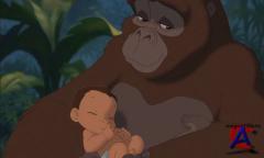  / Tarzan