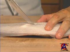     / Instructional knife skills
