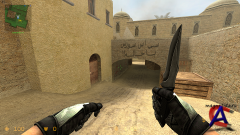 Counter-Strike: Source Fatal Shot (2010)