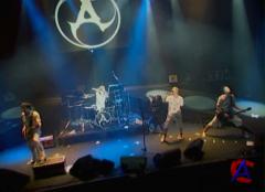 Amatory - Live Evil