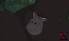  / Tarzan