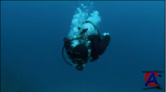   / Mega Piranha