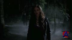   / The Vampire Diaries (1 )