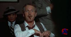  / The Sting