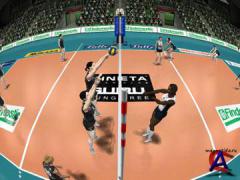 International Volleyball 2010