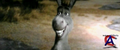   / Shrek Forever After