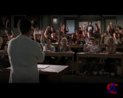  / Scrubs (9 )