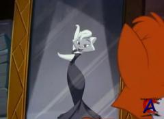    / Cats Dont Dance