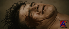   / Black Dahlia, The