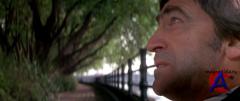  / The Omen