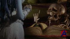   / Corpse Bride