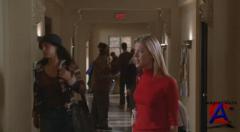   / Van Wilder