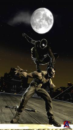 Spider-Man: Shattered Dimensions