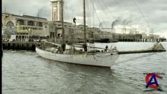   / Sea Wolf
