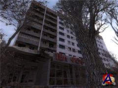 S.T.A.L.K.E.R:   