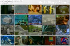   / The Chernobyl Mystery