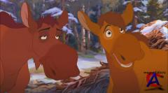   2 / Brother Bear 2