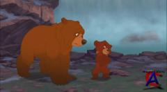   2 / Brother Bear 2