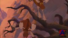   2 / Brother Bear 2