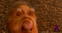   / Total Recall