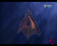 Discovery -   / Discovery - Gerl Orgamz