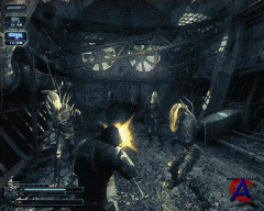 Collapse:  (Rus) [RePack]  R.G. 
