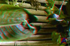 ! 3D / Bugs! 3D