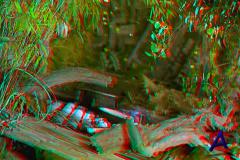 ! 3D / Bugs! 3D