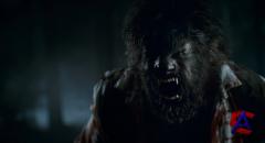 - / Wolfman, The