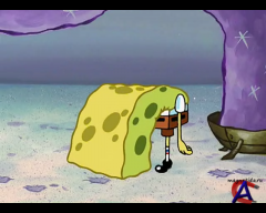     / SpongeBob SquarePants (2 ) [40-40]