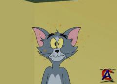   :    / Tom and Jerry Blast Off to Mars!