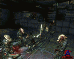 Collapse:  (Rus) [RePack]  R.G. 