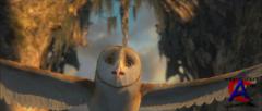   / Legend of the Guardians: The Owls of GaHoole