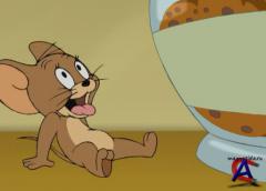   :    / Tom and Jerry Blast Off to Mars!