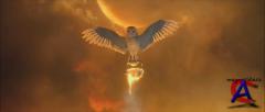   / Legend of the Guardians: The Owls of GaHoole