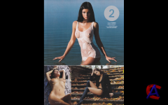Playboy 5  /  2010